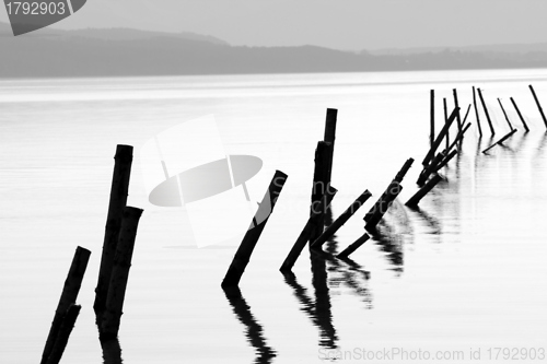 Image of Poles in a lake