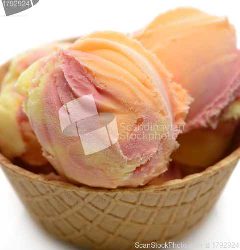 Image of Sorbet