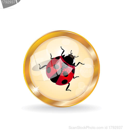 Image of Golden circle label (button) with ladybug