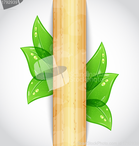 Image of Eco friendly background with green leaves, wooden texture