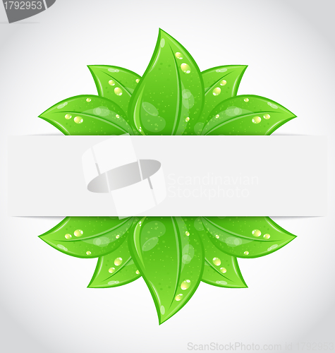 Image of Bio concept design eco friendly banner