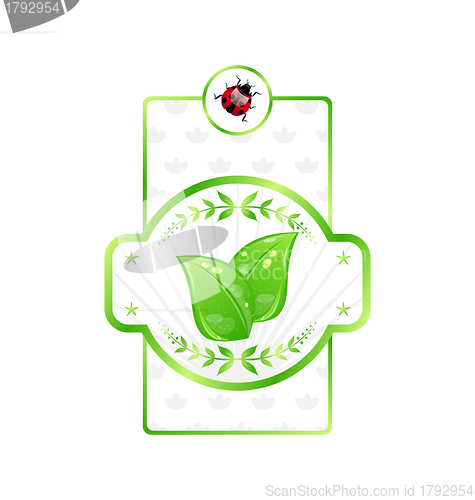 Image of Natural eco label with green leaves for packing product