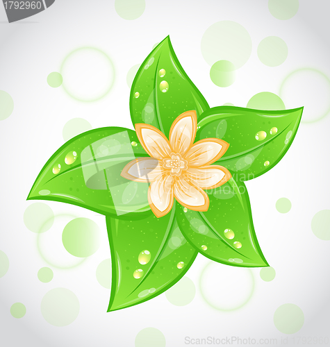 Image of Cute eco background with green leaves and flower