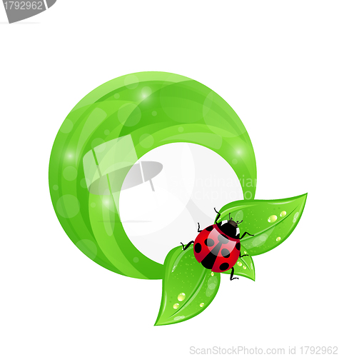Image of Green round frame with leaf elements and ladybug, eco friendly b