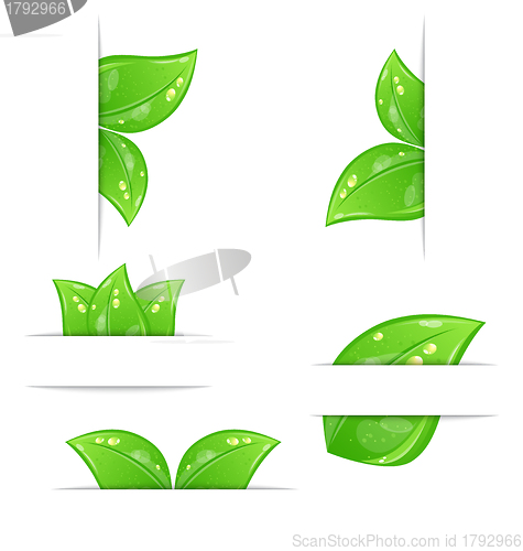 Image of Set of green ecological labels with leaves isolated on white bac