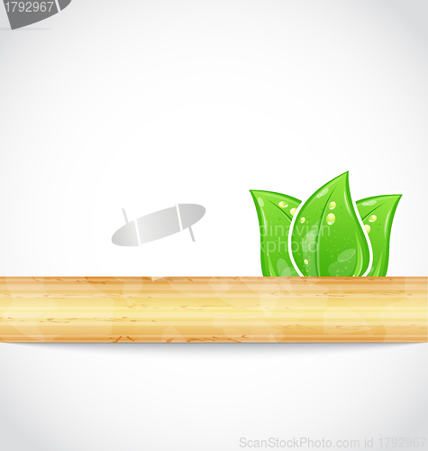 Image of Natural background with eco green leaves and wood