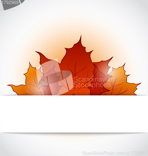 Image of Autumnal maple leaves sticking out of the cut paper