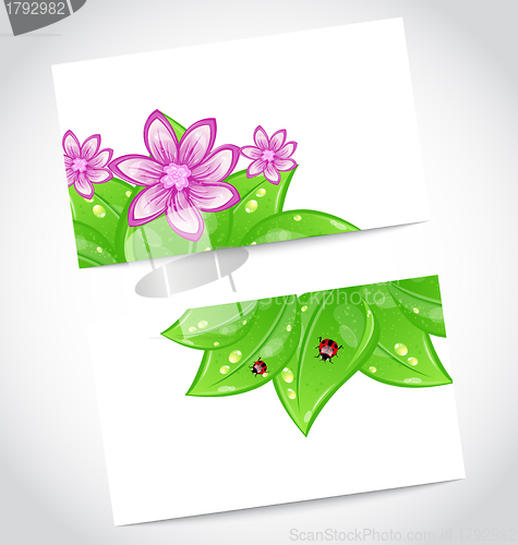 Image of Set of eco friendly cards with green leaves