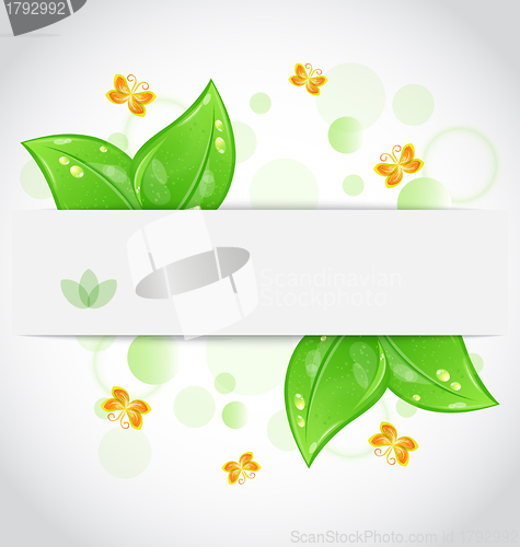 Image of Eco green leaves with with butterfly isolated on white backgroun