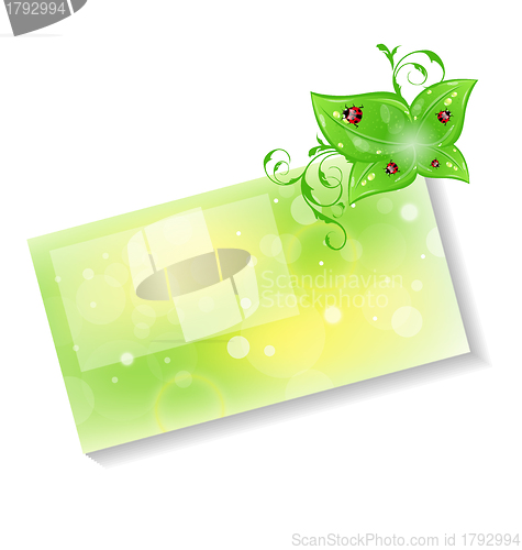 Image of Eco friendly card with green leaves and ladybugs