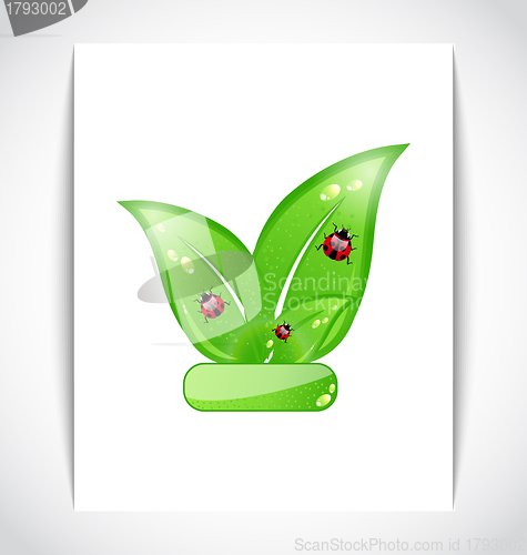 Image of Green eco leaves with ladybugs on the white paper