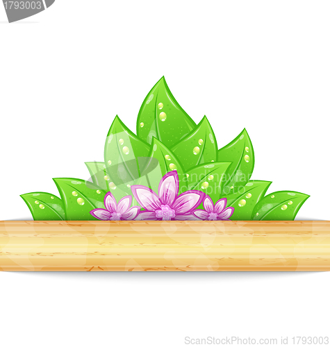 Image of Eco friendly background with green leaves, flower, wooden textur