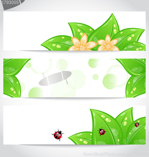 Image of Set of bio concept design eco friendly banners (2)