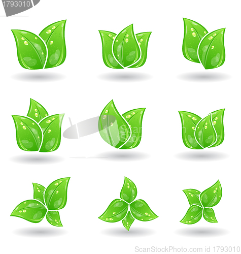 Image of Set of green eco leaves isolated on white background