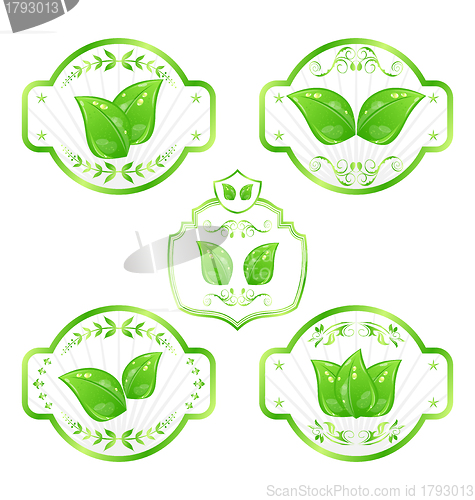 Image of Set of green ecological labels with leaves isolated on white bac