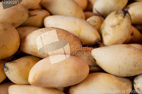 Image of Pile of mangos