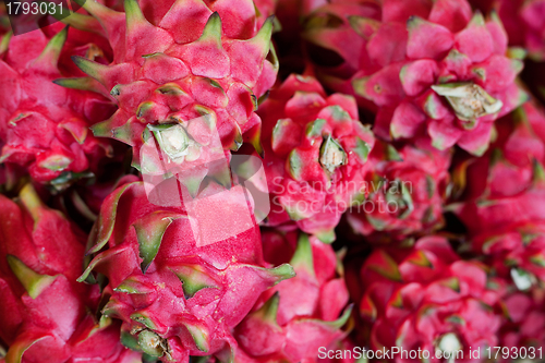 Image of Dragon fruits