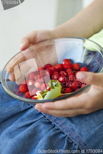 Image of Wild strawberries