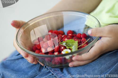 Image of Wild strawberries