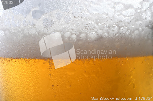 Image of Beer