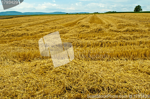 Image of stubble field with panoramic view