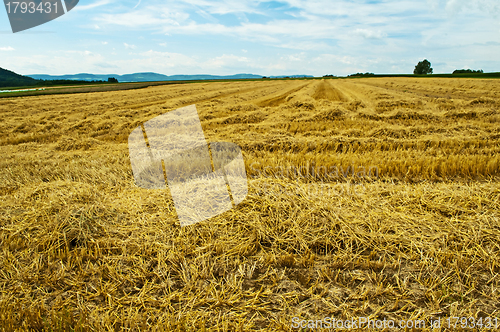 Image of stubble field with panoramic view