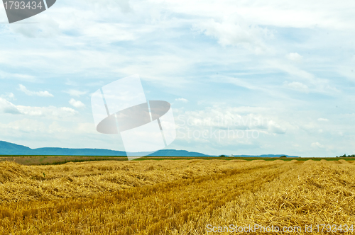 Image of stubble field with panoramic view