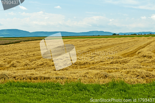 Image of stubble field with panoramic view