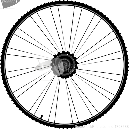 Image of bike wheel with spokes and tire isolated on white background
