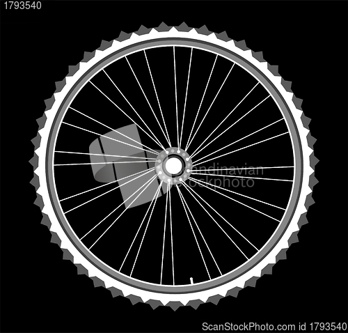 Image of white bicycle wheels on black background