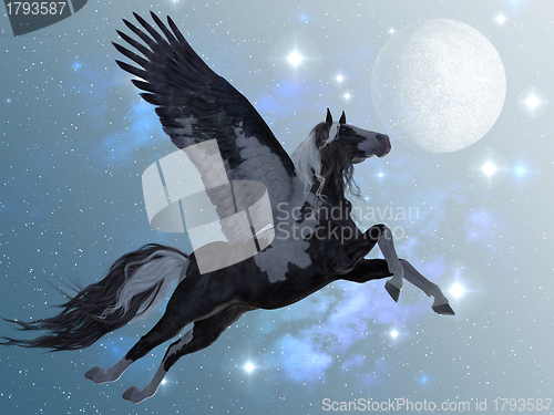 Image of Pegasus 03