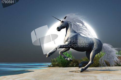 Image of Midnight Unicorn