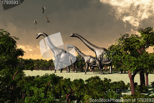 Image of Brachiosaurus 02