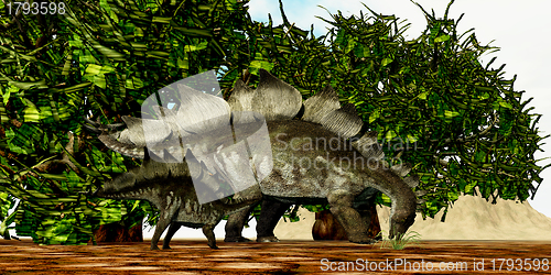 Image of Stegosaurus 03