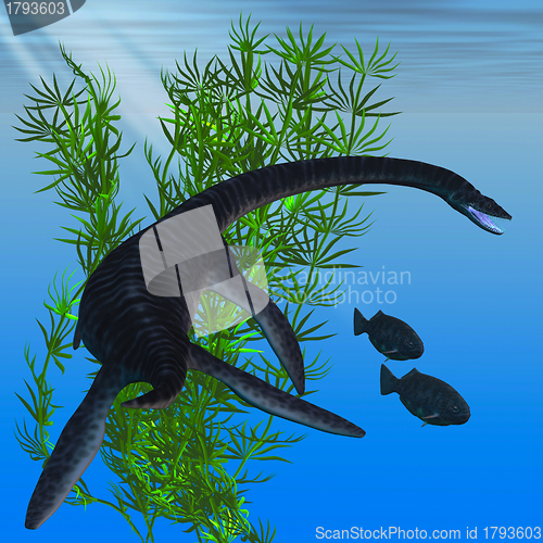 Image of Plesiosaurus