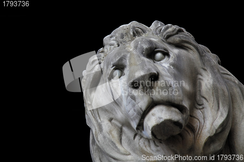 Image of lion head munich