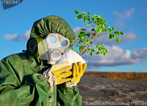 Image of Biologists and genetically modified plant