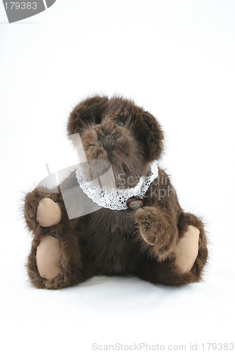 Image of Antique brown teddy bear