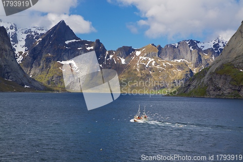 Image of Fishing boat in fjord