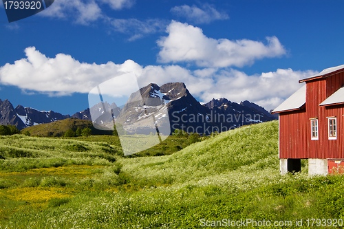 Image of Scenic Lofoten