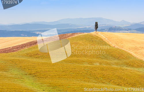 Image of Country in Tuscany