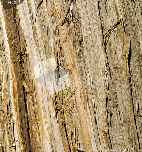 Image of Wooden texture