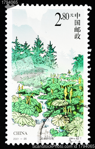 Image of CHINA - CIRCA 2001: A Stamp printed in China shows the Wild lotus canyon, circa 2001