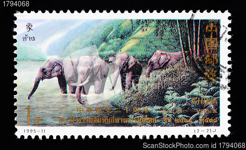 Image of CHINA - CIRCA 1995: A Stamp printed in China shows the Thai elephants , circa 1995