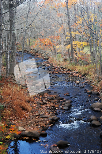 Image of River scenic