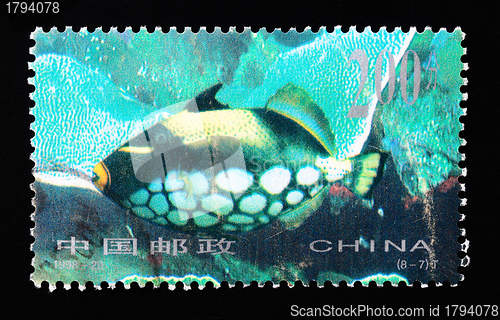 Image of CHINA - CIRCA 1998: A Stamp printed in China shows coral reef fish , circa 1998