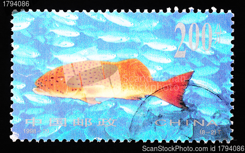 Image of CHINA - CIRCA 1998: A Stamp printed in China shows coral reef fish , circa 1998