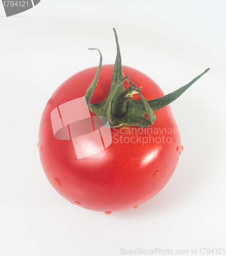 Image of Fresh tomato