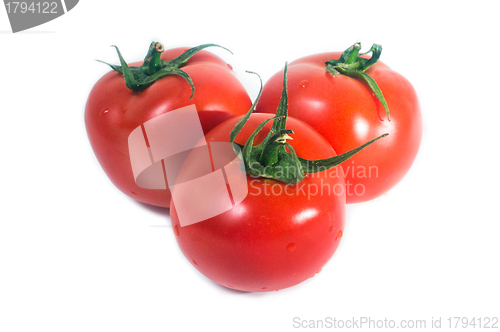 Image of Fresh tomato