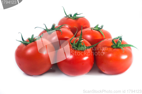 Image of Fresh tomato